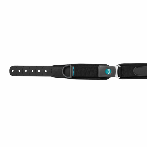 Evoflex Hip Belt